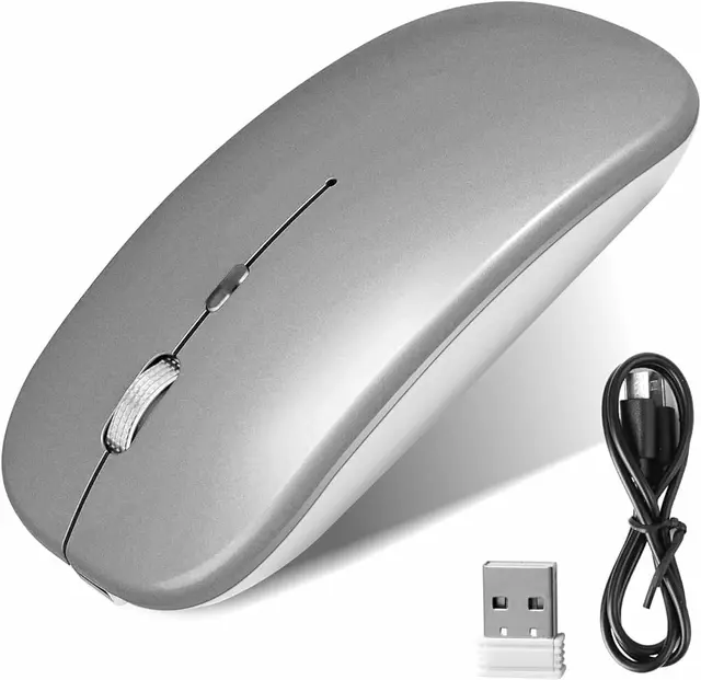 mouse-df69aa57609d52413617196699669824-640-0.webp