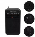 Radio - Am / Fm - a Pila AAA - de bolsillo