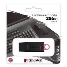 Pendrive - Kingstone - 256gb - 100Mb/s  